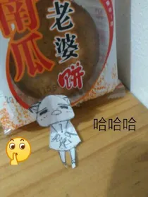 一本没名字的书