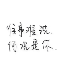 偷心者
