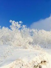 冰雪梦幻