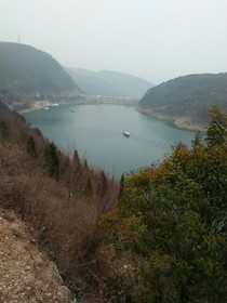 桃花泪