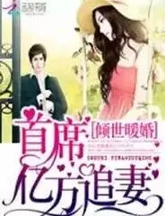 倾世暖婚:首席亿万追妻