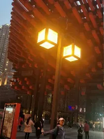 待海棠花开