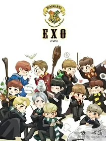 爱她就要宠坏她exo