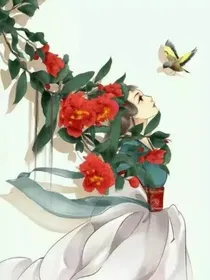 腹黑王妃：王爷，我要休了你