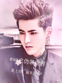 EXO之伪装世界
