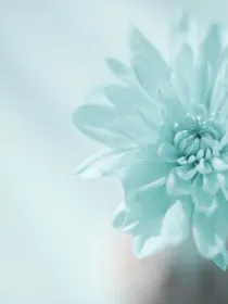 清歌未终，离人未散