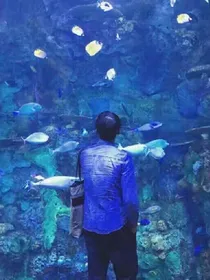 系统之扑倒男主死虐女主