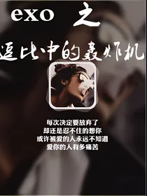 exo之逗比中的轰炸机