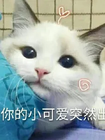 exo之爱莫离