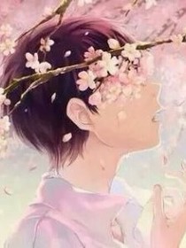 樱花见证