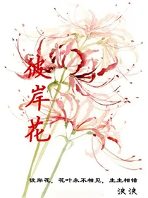 彼岸花之花开彼岸