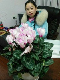婉居