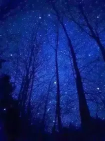 我还爱你么