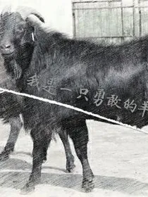 我是一只勇敢的羊——它的复仇