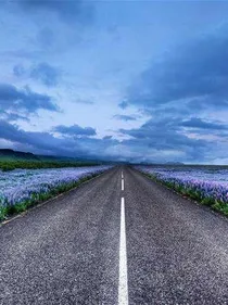 阳光的路上有你我