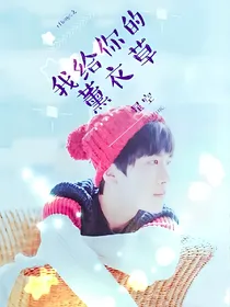 TFBOYS之我给你的薰衣草星空