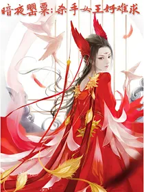暗夜罂粟；杀手女王好难求