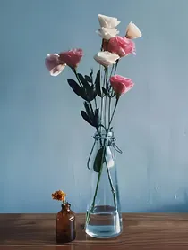 蔷薇王冠