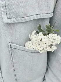 重生之我的花期