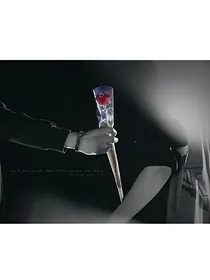 夏之光