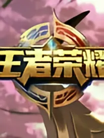 王者荣耀之卓越于世