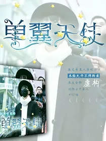 凯家专宠的单翼天使