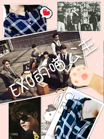 exo的喵公主