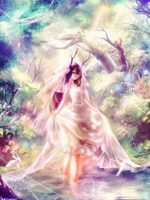 穿越之九小姐