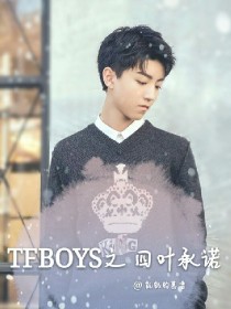 TFBOYS:TFBOYS之四叶承诺