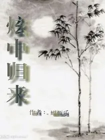 炫中归来