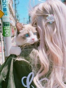 流行猫的养成记