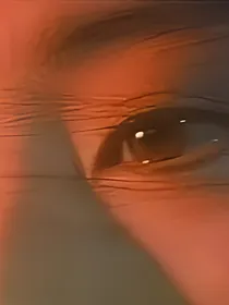 葬花引