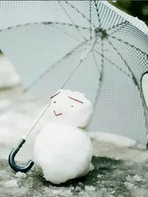 复仇的季节:雪花飘落