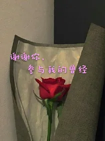 谢谢你，参与我的曾经