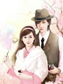 总裁大人的追妻之路