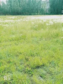 原来你就在这里，