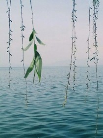 谁蓝了她的一片天