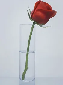遇见，不该如此忐忑