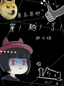 莫名其妙穿越了肿么破