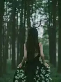 余生不再