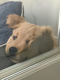 快穿之共建和谐社会
