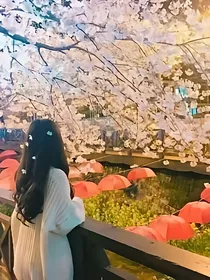 重庆四少与皇室公主的爱恋-d556