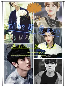 我的挚爱&EXO-d549