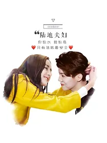 陆地夫妇爱不停