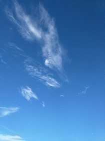 被遗忘风景