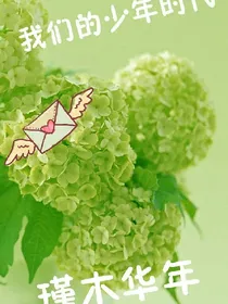 我们的少年时代之瑾木华年_d239