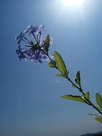 误会