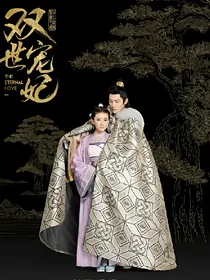 双世宠妃原著：爷我等你休妻