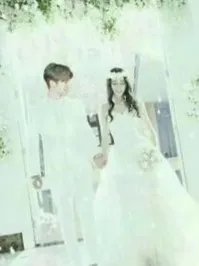 陆地夫妇之曲折之路