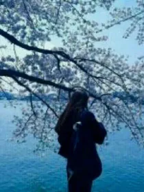 舞法天女之星空圣女